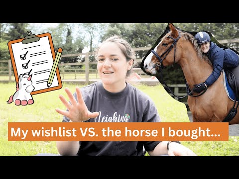 The horse I wanted vs. the horse I bought... | Riding With Rhi