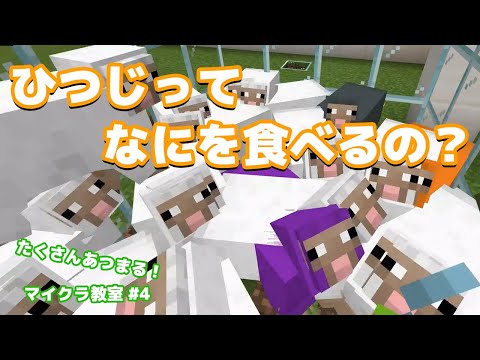 羊は何を食べるの?