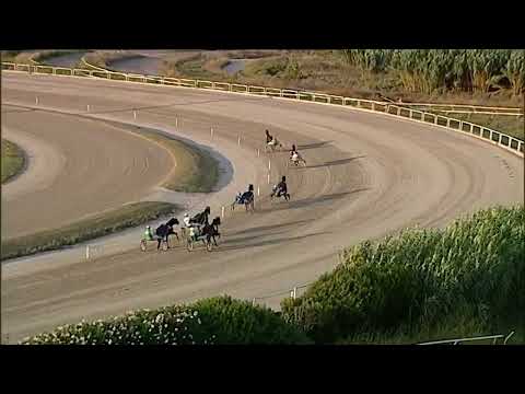 Napoli Trotto 18/08/2023 - 2ª prova di qualifica