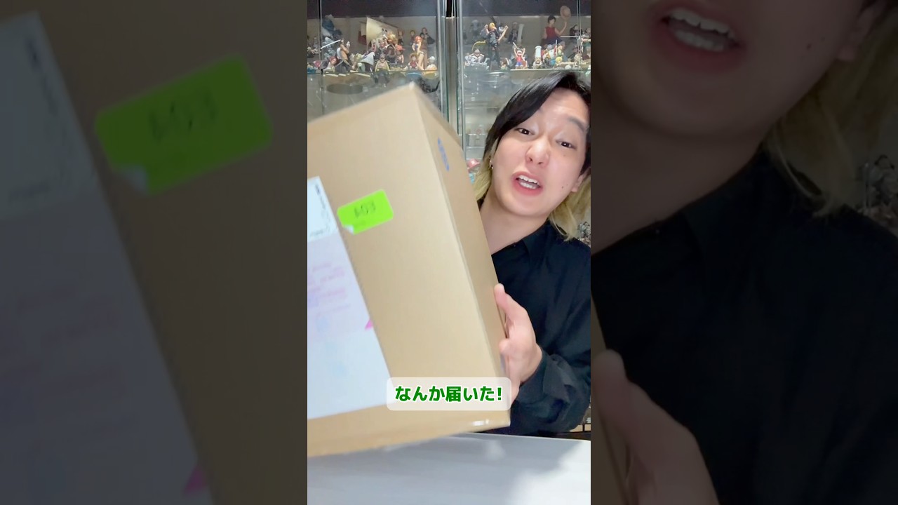 めちゃんこ高くてでかいワンピースフィギュアがやばすぎたんよ!! #ワンピース #フィギュア #開封動画  #pop #onepiece