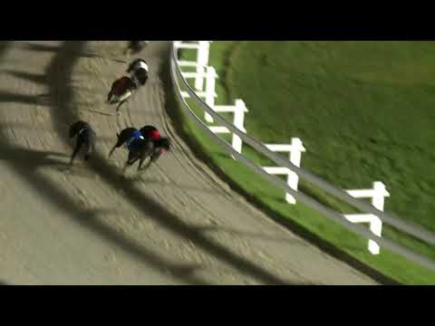 2019.12.21. 02. futam - Agár futam