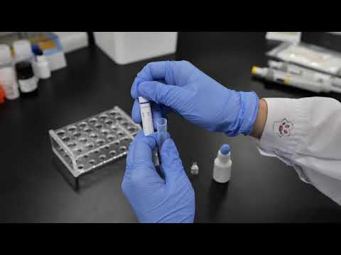 Operation video for Medomics Antigen rapid test