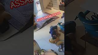 Download lagu Uninvited guest😂 #lizard mp3