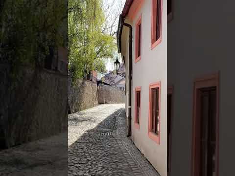 NOVÝ SVĚT(komentovaná procházka)