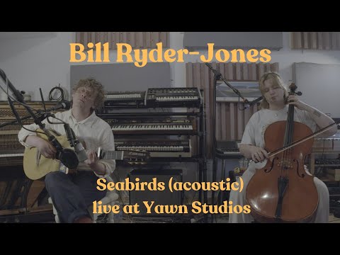 Seabirds - Bill Ryder-jones