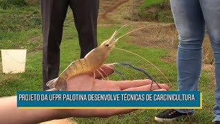 Miniatura do vídeo