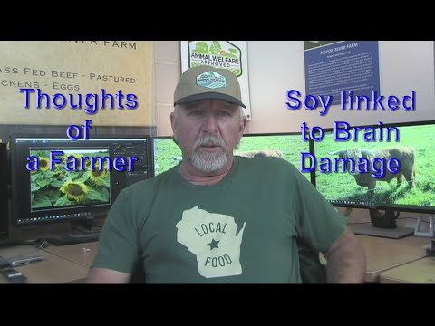 Thoughts of a Farmer   Soy linked to Brain Damage