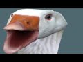 HONK In Content Aware Sacle