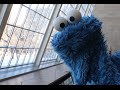 Simply Delicious Shower Thoughts With Cookie Monster