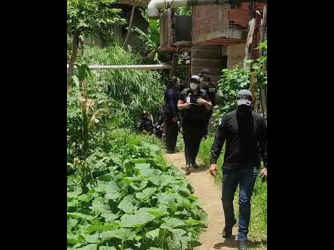 Mano dura contra el hampa