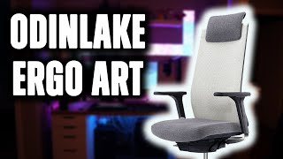 Best Ergonomic Chair for Office/Gaming Setup? | OdinLake Ergo ART 643 Review