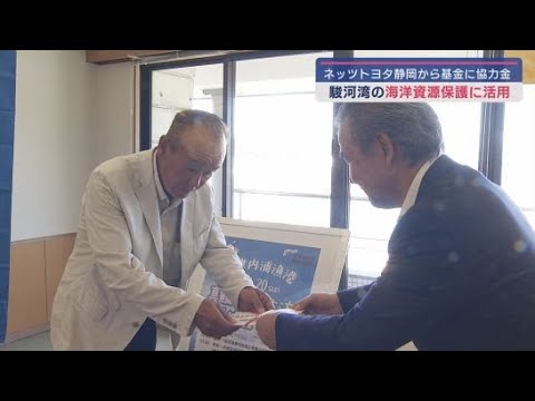 YouTube Video 海洋資源保護活動に役立てて　ネッツトヨタ静岡が県漁業振興基金に協力金　真鯛の稚魚2000匹放流　