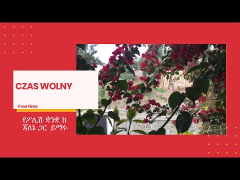 Lesson 21 - Weekend - Polish/Amharic. Learn Polish with Jallene