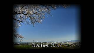 さきたま古墳公園の桜：丸山古墳散策