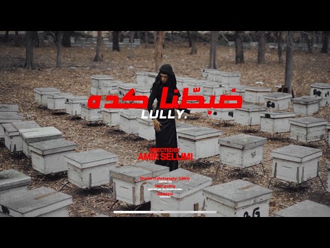 Lully - ضبطنا كده ( Official music Video )