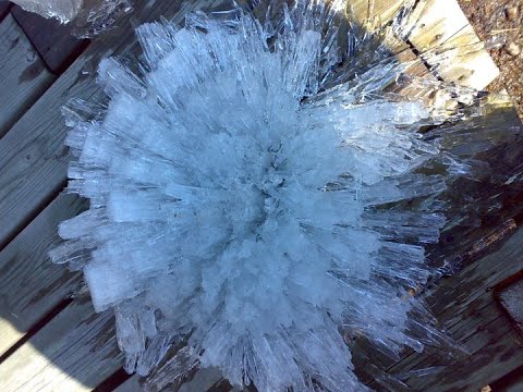 Lepposaa joulu lauantaita