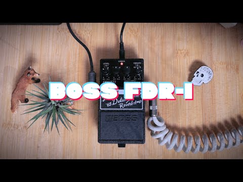 👍🏽Boss FDR-1 Fender '65 Deluxe Reverb (no talking)