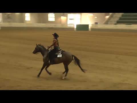 190728 Green 2 Kim Smith on Judge This Big Gun E