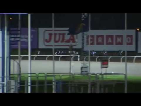 2015.10.08 Wathba Stud Farm Sprint Cup (SWE) - Macallan