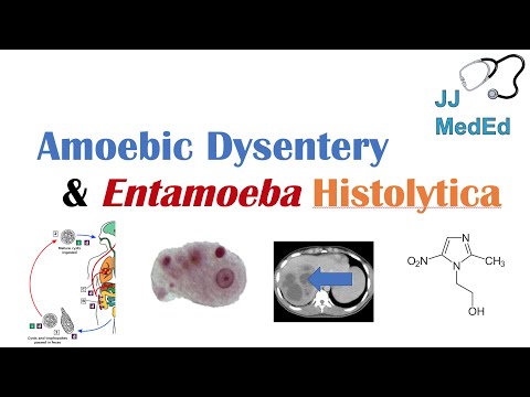 , title : 'Amebiasis (Amoebic Dysentery) | Entamoeba histolytica, Pathogenesis, Signs & Symptoms, Treatment'