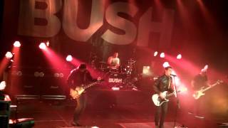Bush-01-Mirror of the signs en Machinehead Melkweg 2011.MOV