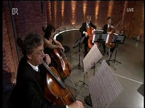 Four for peace-Giovanni Bonato (Julius Berger)