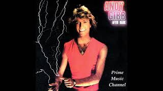 ANDY GIBB ~ After Dark - 1980