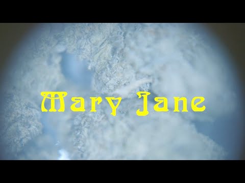 Off Top Tre - Mary Jane (Official Music Video)