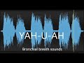 YAHUAH – The Sound of Breathing; The Breath of Life