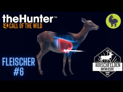 Fleischer #6 Hirschfelden | theHunter: Call of the Wild (PS5 4K)