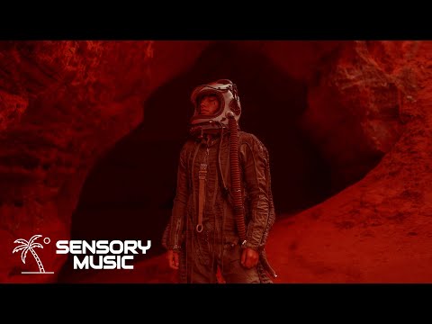 VIZE x MOGUAI x Anna Grey - Youre Not Alone