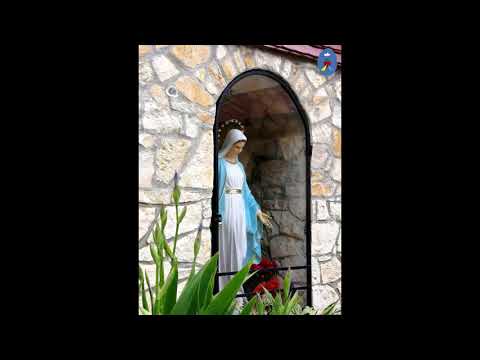 Pustelnia 13.08.2020 - Kazanie o. Daniel