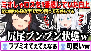 復帰以来「尻尾を振りながら足の周りを8の字で走り回ってる仔犬状態」になってる白上フブキが可愛く見える大神ミオw【切り抜き/ホロライブ】