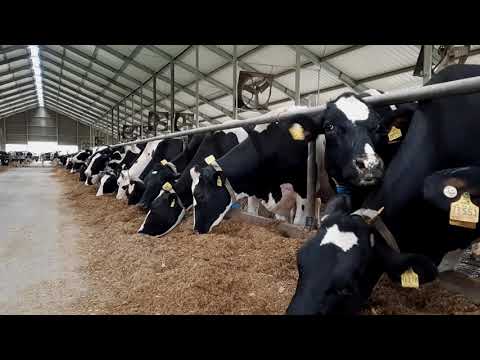 KWS Mais on Tour − Susanna stellt sich vor