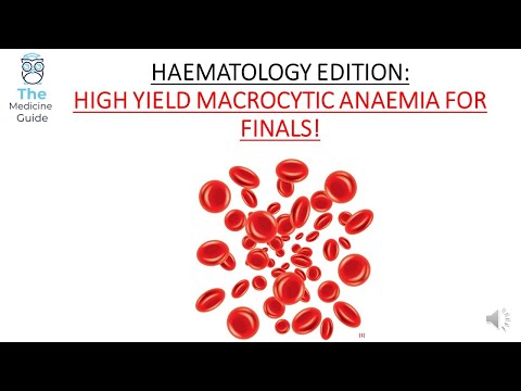 HAEMATOLOGY EDITION: HIGH YIELD MACROCYTIC ANAEMIA FOR FINALS!