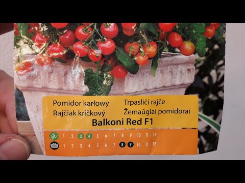 , title : 'Pomidor idealny na balkon lub parapet'