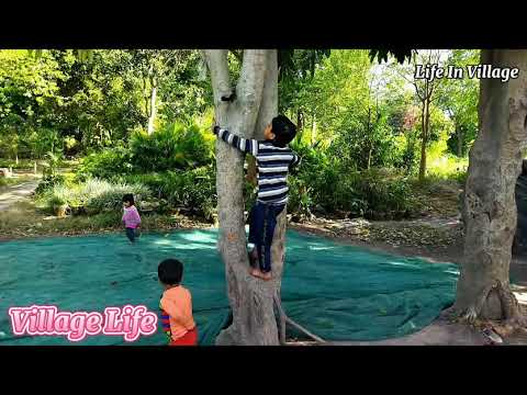Village Children Playing| Kids Picnic In Village| گاؤں کے بچے انجوائے کرتے ہوئے |Children Playing