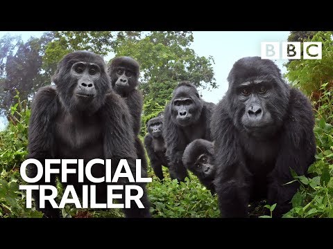 スパイ・イン・ザ・ワイルド：予告編｜BBC予告編 (Spy in the Wild: Trailer | BBC Trailers)