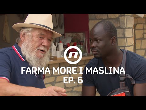 Imamo problem... - Epizoda 6 | Farma More i Maslina