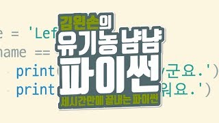 if | 유기농냠냠파이썬 | 김왼손의 왼손코딩
