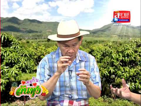 โรคผิวหนังหรือโรคเรื้อนกวาง แชมพูสำหรับโรคสะเก็ดเงิน