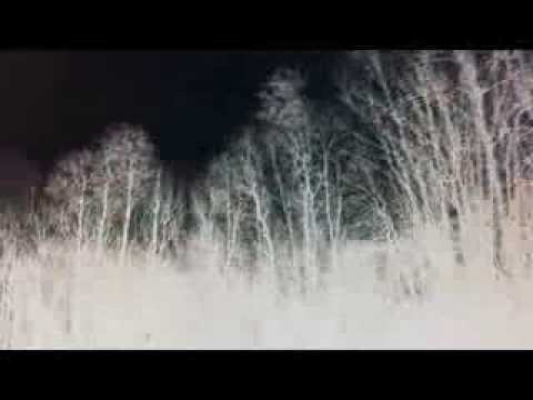 Röövel Ööbik - Tygahquardodynamon Music Video