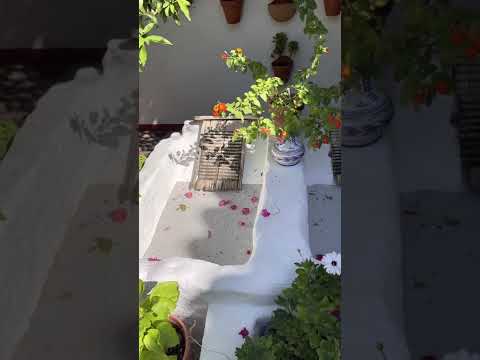 Colourful Calles of Cordoba #shorts