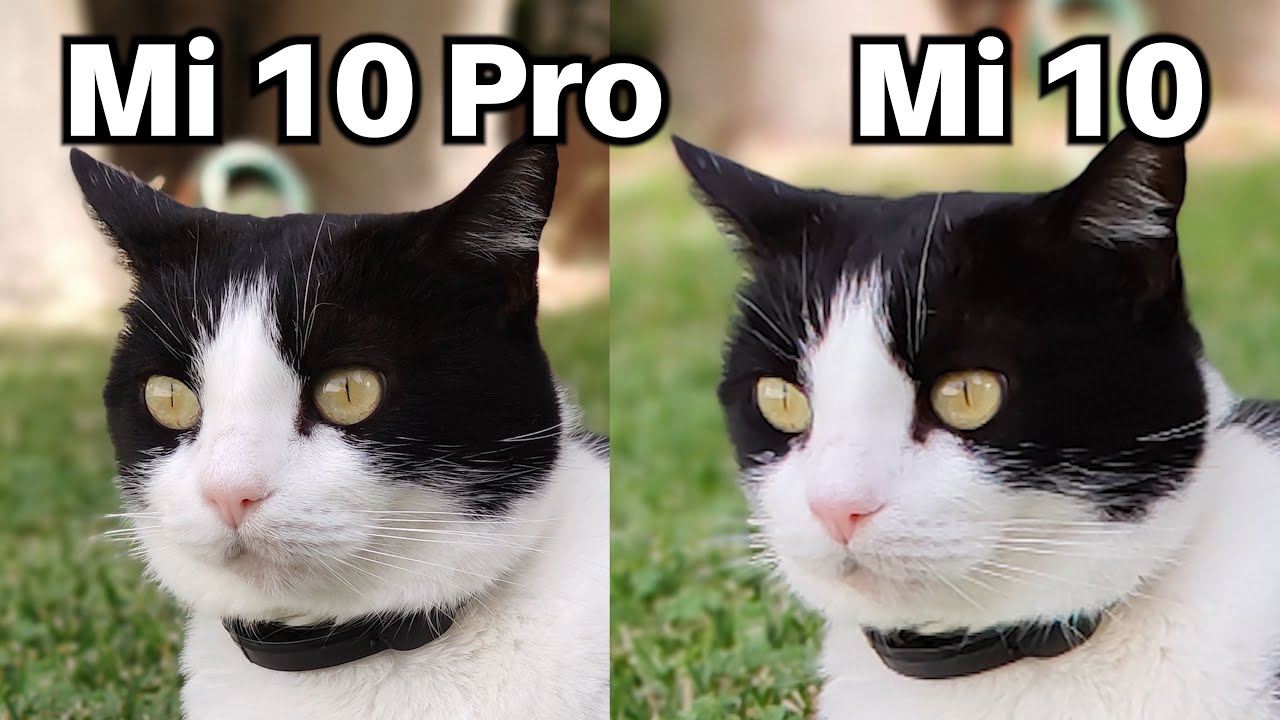 Xiaomi Mi 10 Pro Vs Mi 10 Camera Comparison