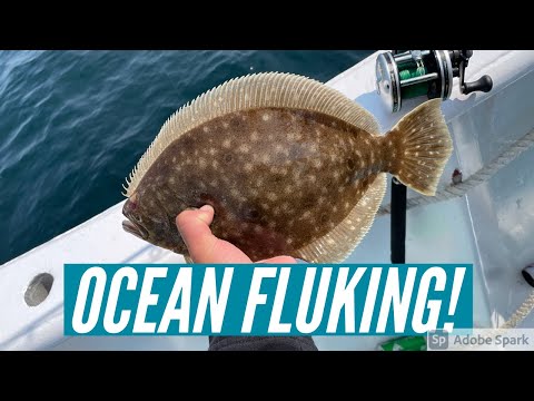 Ocean Fluke Fishing! Captree Pride, Long Island