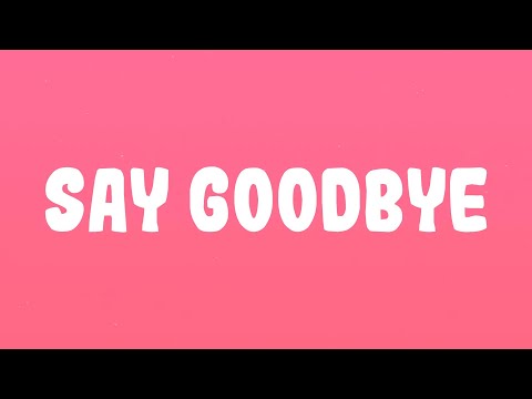 Chris Brown - Say Goodbye