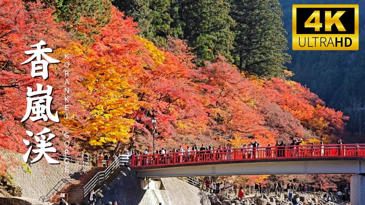 Embark on an immersive walking tour through Korankei Gorge.