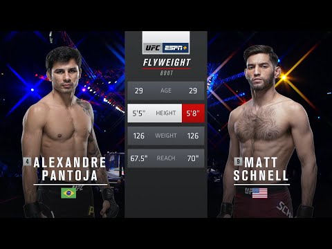 Alexandre Pantoja vs Matt Schnell full fight