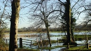 preview picture of video 'River Arun overflows and floods the surrounding countryside (Sussex England) - Jan 2014'