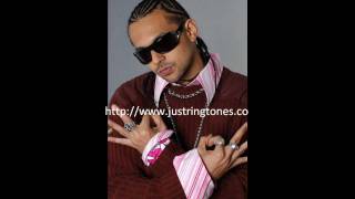 Sean Paul - Party Campaign (Feat. Leftside) +Ringtone [New Song 2011]